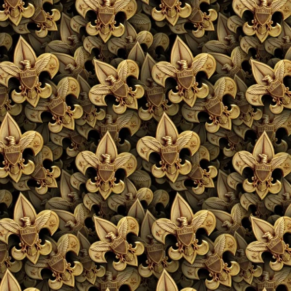 Boy Scouts of America 25