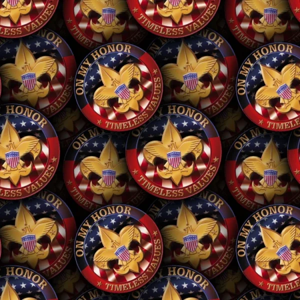 Boy Scouts of America 23