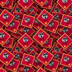 Boy Scouts Badges 27