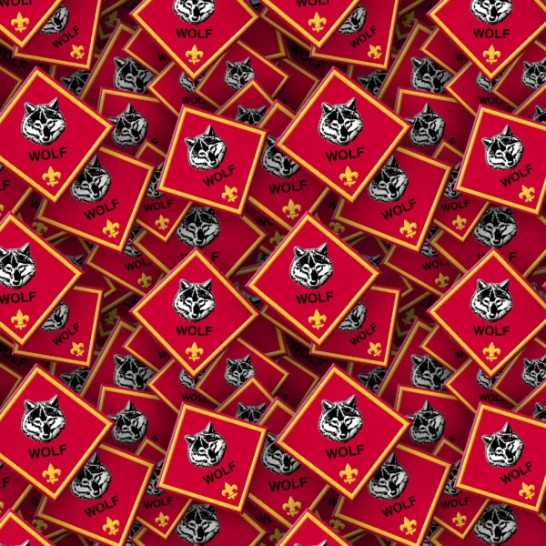 Boy Scouts Badges 27