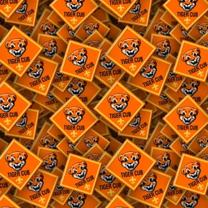 Boy Scouts Badges 26