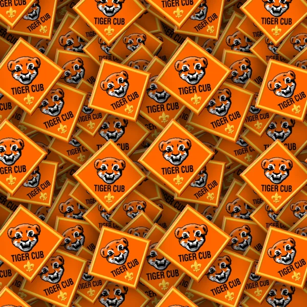 Boy Scouts Badges 26