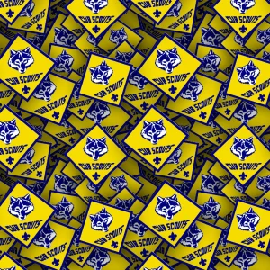 Boy Scouts Badges 25