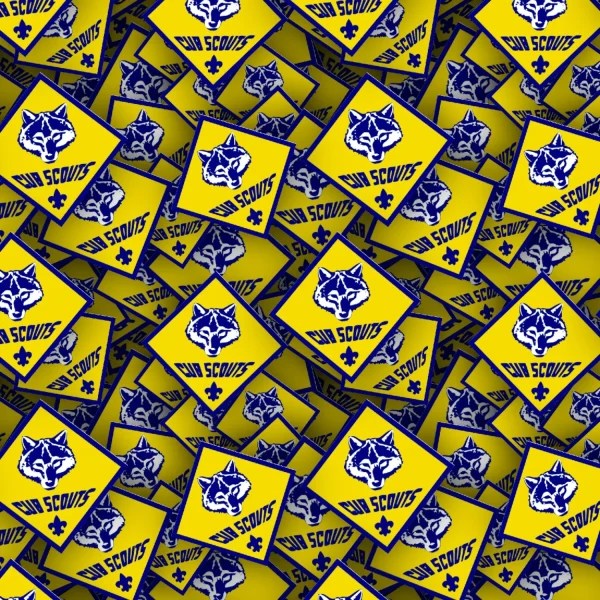 Boy Scouts Badges 25