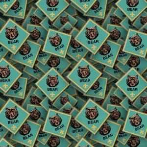 Boy Scouts Badges 24