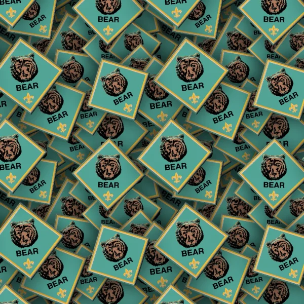 Boy Scouts Badges 24