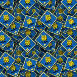 Boy Scouts Badges 23