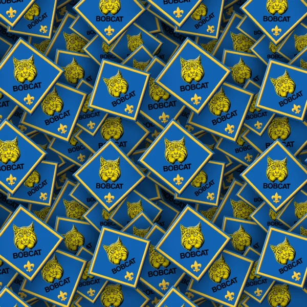 Boy Scouts Badges 23