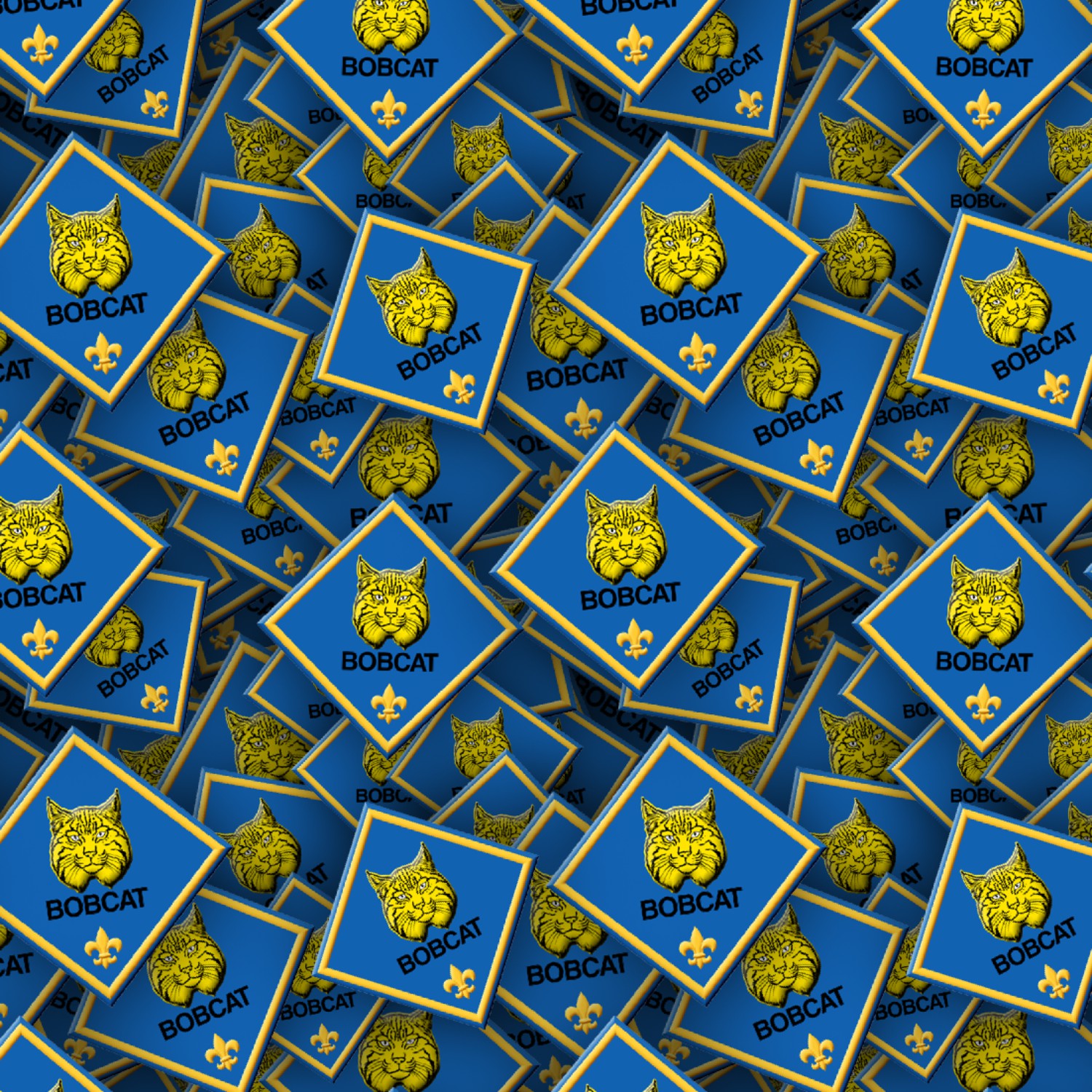 Boy Scouts Badges 23 Pattern Crew