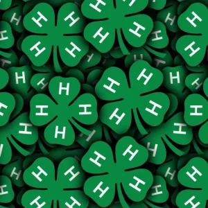 4H Club