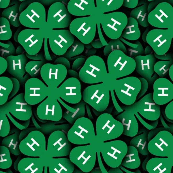 4H Club Logo