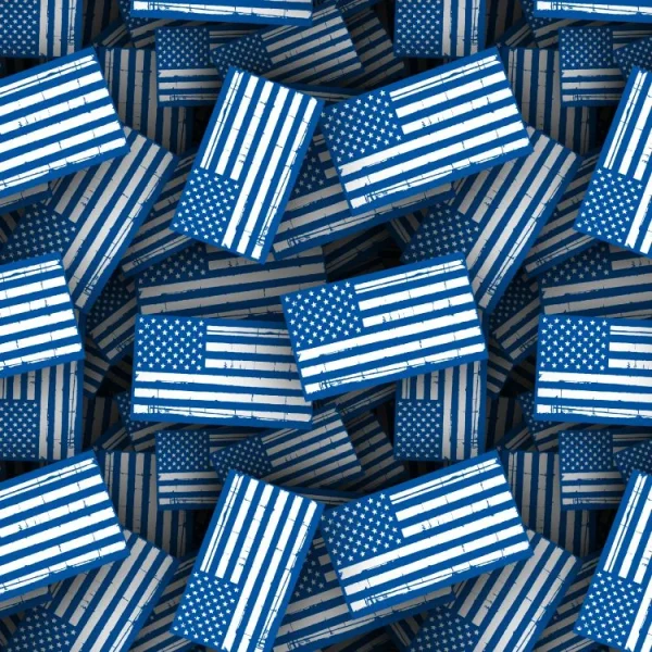 Thin White and Blue Line Flag