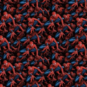 Spider Man 24