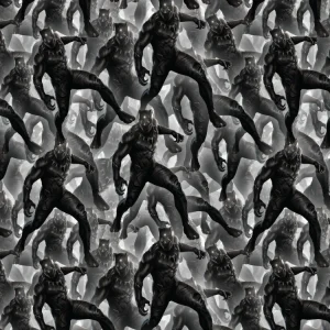 Black Panther 24