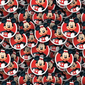 Mickey 22