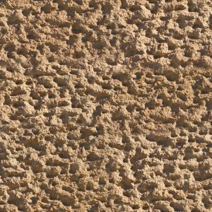 Pocked Sandstone