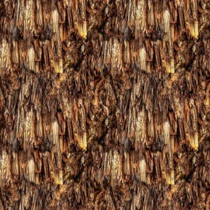 Cave Stalactites 23