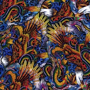 Eagle Dragon 22