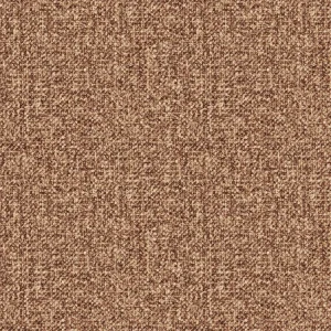Fabric 31