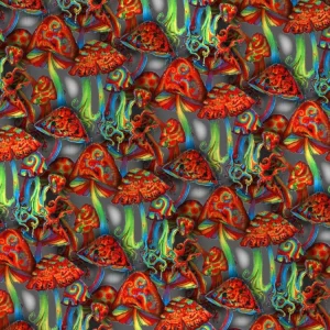 Red Shrooms 22