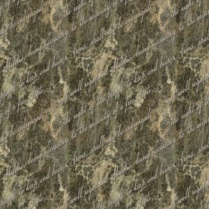 Second Amendment 22 Camouflage Second Amendment 22 Camouflage