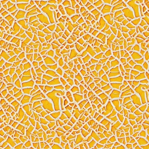 Cantaloupe 23
