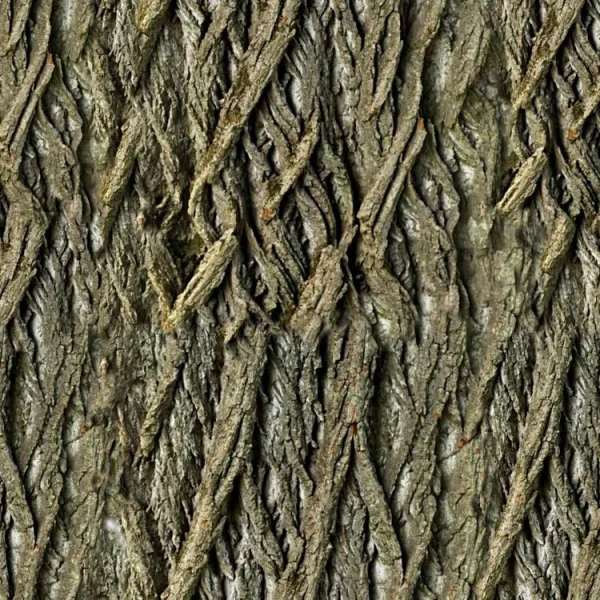 Close-up image of tree bark featuring a textured surface with vertical ridges and grooves. The bark is rough and predominantly brown, displaying natural patterns typical of tree trunks.
