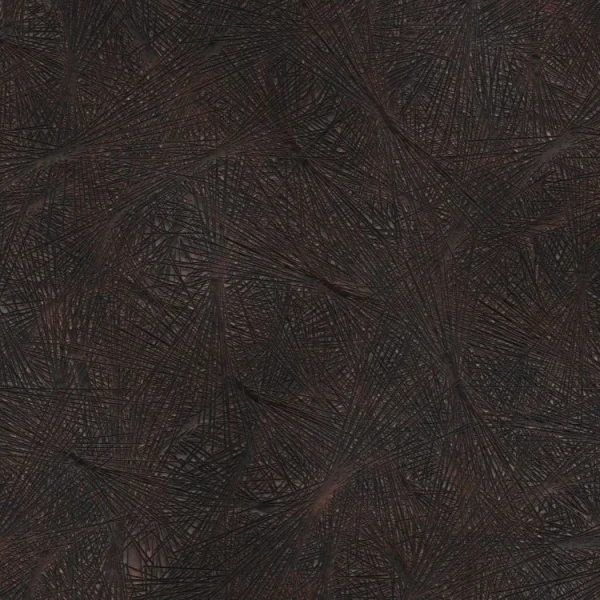 Abstract texture consisting of interwoven, dark brown and black lines forming a chaotic, web-like pattern. The lines vary in thickness, creating a sense of depth and complexity across the surface.