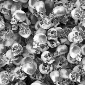 Silver Skulls