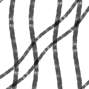 Tire Tracks 23