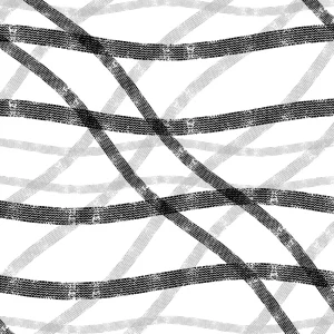Tire Tracks 25