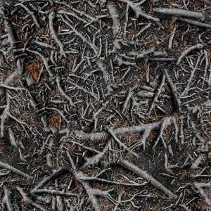 Roots Camouflage