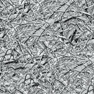 Snow Branches 22 Camouflage Snow Branches 22 Camouflage
