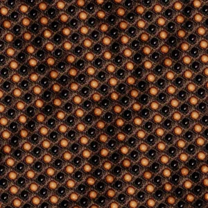 Gila Monster Skin 23
