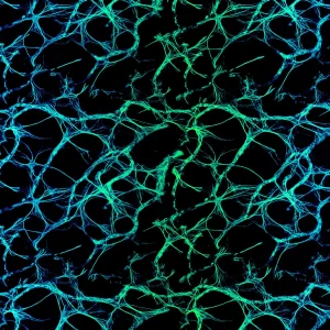Neural Net Blue Green
