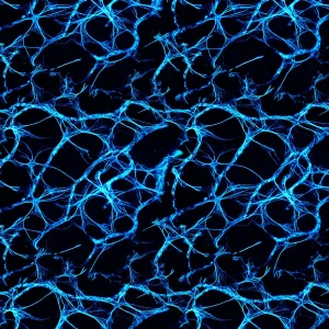 Neural Net Blue