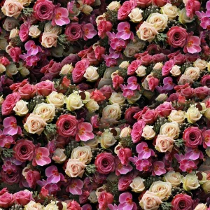 Rose Parade