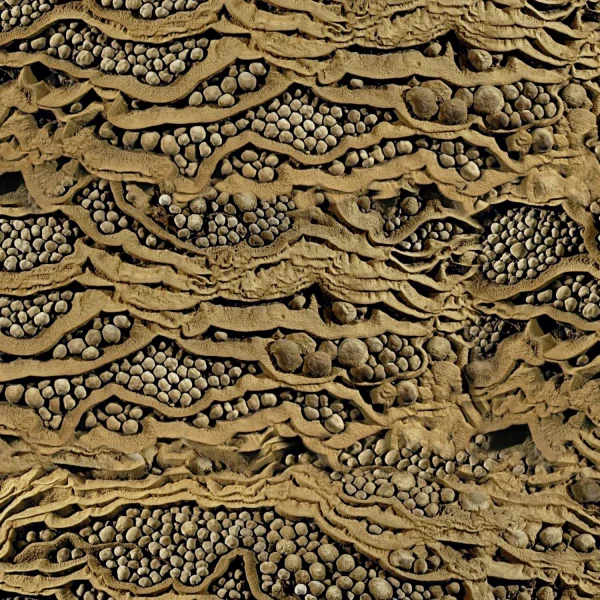 Sedimentary Balls