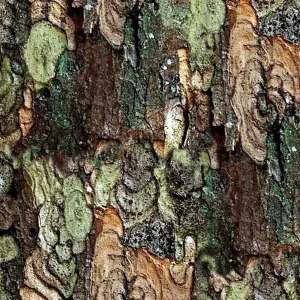 True Bark 23 Camouflage