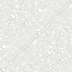 We The People Word Cloud 23