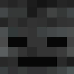 Minecraft Wither Skeleton Head