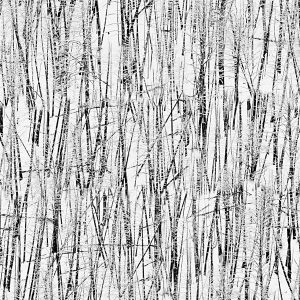 Barren Winter Camouflage Barren Winter Camouflage