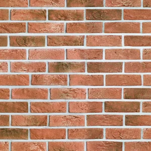 Bricks 22