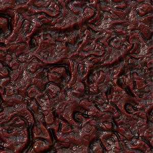 Coagulated Blood