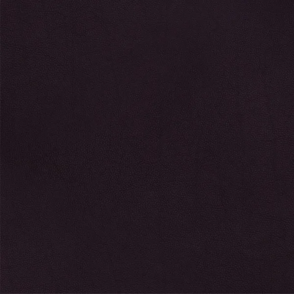Deep Purple Leather