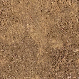 Dirt 23