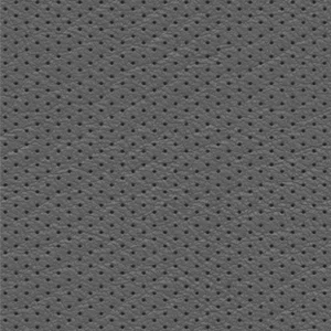 Perforated Leather 22