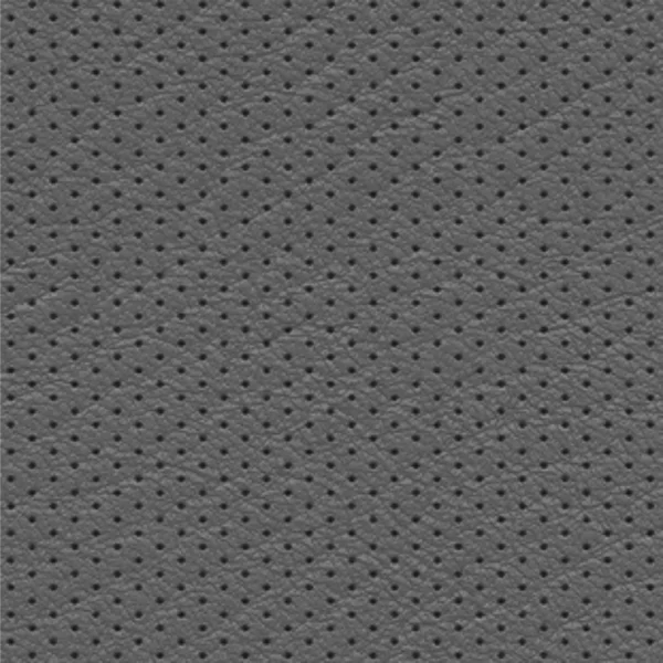 Perforated Leather 22