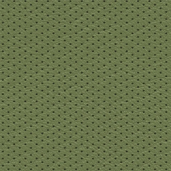 Perforated Leather 23