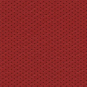Perforated Leather 24